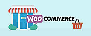 What are the Reasons to Add Authorize.net Payment Gateway on WooCommerce Store