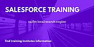 Website at https://www.calfre.com/India/Hyderabad/Ameerpet/Salesforce-Training/listing
