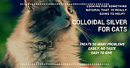 Can Colloidal Silver Be Used For Cats Health?
