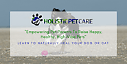 Dog Care With Holistic Approach