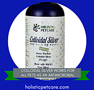 At Home Feline Treatment with Colloidal Silver