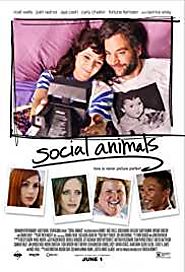 Social Animals 2018 Movie Download 480p MKV HD MP4 Free