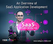 An Overview of SaaS Application Development