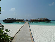 Facts your wish you knew earlier about the Maldives | Maldives Honeymoon Packages | Antilog Vacations