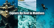 Experience Hp Reef In Maldives | Maldives Honeymoon Packages