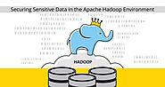 How do you secure a Hadoop environment?