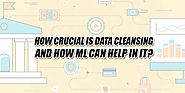 Can Data cleaning using ML algorithm for business challenges
