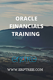 Oracle Financials Training | Oracle Apps Financials Course at Erptree.