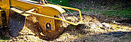 Tree Stump Removal Sydney Services for All Suburbs of Sydney