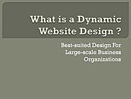 PPT - What is a Dynamic Website Design ?