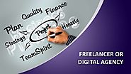 Freelancer Or Digital Marketing Agency?