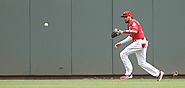 Catch of the year? Hamilton’s homer-saving grab in St. Louis amazes Reds