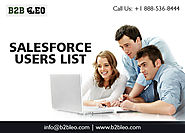Salesforce Users List | Salesforce CRM User Email Addresses-B2B Leo