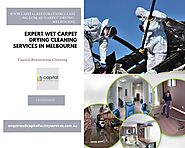 Expert Wet Carpet Drying Cleaning Services in Melbourne