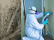 Expert Mould Removal & Cleaning Services Melbourne