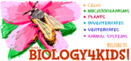 Rader's BIOLOGY 4 KIDS.COM - Biology basics for everyone!
