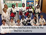 Learn Effective Martial Arts Skills At The Warrior Academy