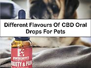 Different Flavours Of CBD Oral Drops For Pets