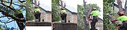 Tree Removal Dernancourt, Tree Cutting & Maintenance Service in Dernancourt - CTL Services