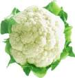 Cauliflower - White