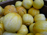 Cucumbers - Yellow/Lemon/White Varieties