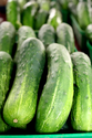 Cucumbers - Any/All Types