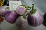 Eggplant - Large/Fat Italian Varieties