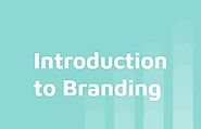 Introduction to Branding – Anything SEO
