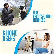 Basic Dog Obedience Training Steps – Alpha Dog Remote Dog Training Collars