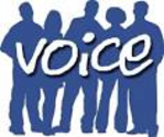 Facebook ads "Voice" button
