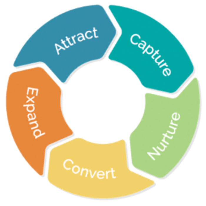 Elevated client. Customer Lifecycle. Marketing Automation. Buying Cycle. B2b что это.