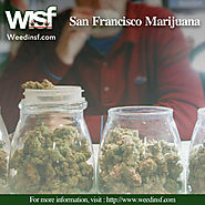 Website at http://www.weedinsf.com/