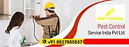 Are Looking for Termite Control Service in Gurgaon