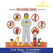 Hire The Right Pest Control Company in Gurgaon