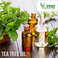 Top 10 Tea Tree Essential Oil Uses and its Health Benefits