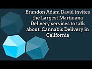 Largest Weed Delivery Services in the United States - Discuss Marijuana Delivery in California