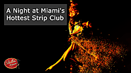 How to Handle a Night At Miami’s Hottest Strip Club