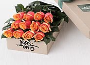 Sự thật về ý nghĩa của 33 bông hoa hồng trong tình yêu