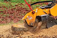 What is Stump Grinding and Why is it Important?