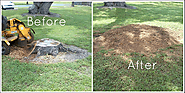 Using a Stump Grinder For Complete Tree Removal Adelaide