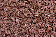 The Basics of Applying Mulch