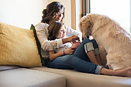 4 Smart Tips to Make Apartment Living with Your Dog Easier | Pet Insurance | New York City, USA | The Insured Pet