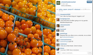 How to Use Instagram for Content Marketing