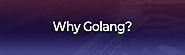 Golang | Golang Development Company
