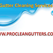 Best Professional Gutter Cleaning Services in Essex