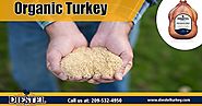 ground turkey | https://diestelturkey.com/traditional-grind - Imgur