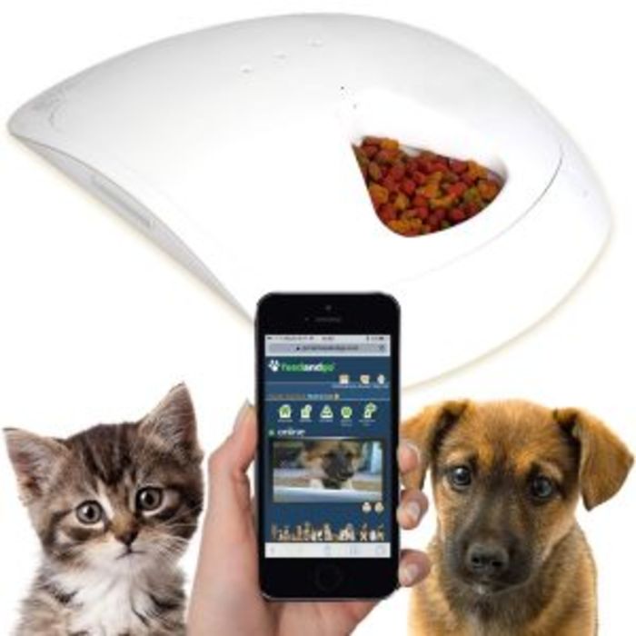 Best automatic pet feeder sales 2018