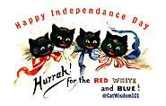 Does Your Cat Hate July 4th Fireworks Or Not? By Clyde, feline editor and author.