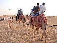 76 best Go Dubai Desert Safari images on Pinterest | Dubai desert, Deserts and Dessert