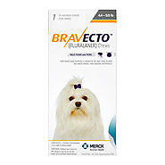Bravecto - Flea and Tick Treatment